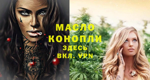 mix Богородицк